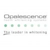 Opalescence PF 10% Mint Patient Kit - Optident Ltd
