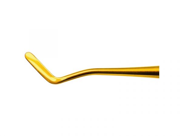 Composite 6 Eaglelite